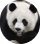 Notional Finance avatar image